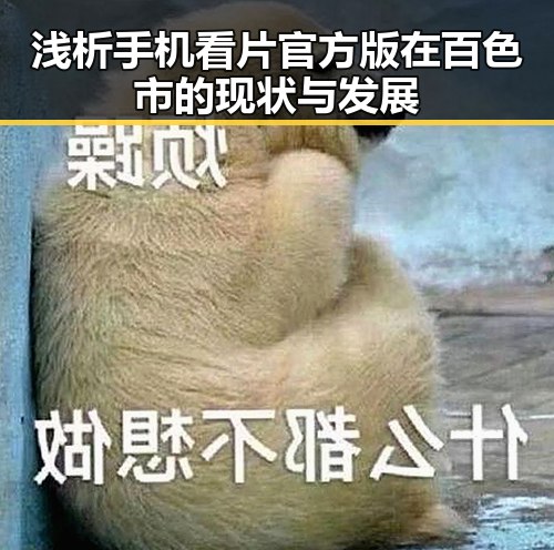 浅析 手机看片官方版 在百色市的现状与发展