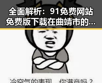 全面解析：91免费网站免费版下载在曲靖市的现状与发展趋势