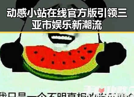 动感小站在线官方版引领三亚市娱乐新潮流