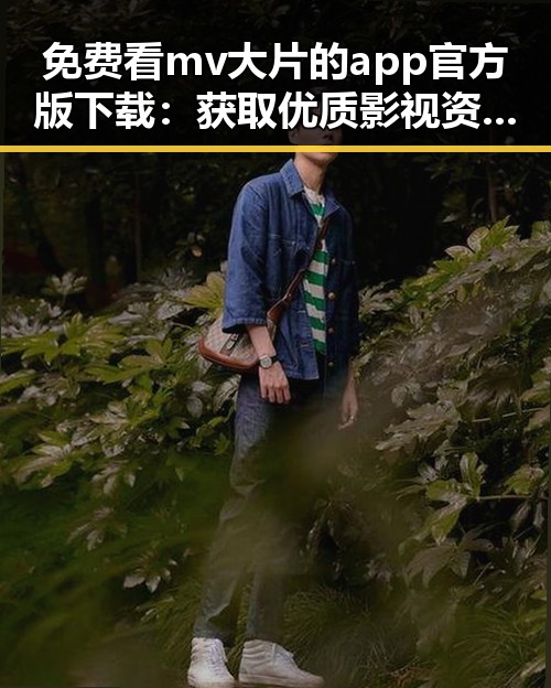 免费看mv大片的app官方版下载:获取优质影视资源的实用指南