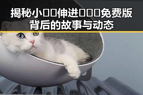 揭秘小🐔🐔伸进🈲🔞🔞免费版背后的故事与动态