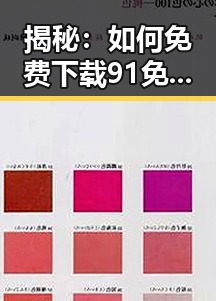 揭秘：如何免费下载91免费网站免费版下载，享受高效资源获取