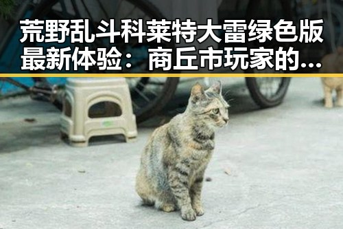 荒野乱斗科莱特大雷绿色版最新体验:商丘市玩家的热议
