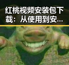 红桃视频安装包下载:从使用到安全的全方位解析
