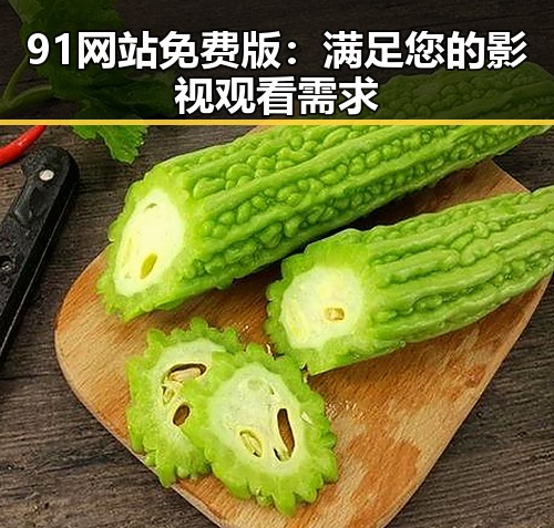 91网站免费版:满足您的影视观看需求