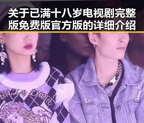 关于已满十八岁电视剧完整版免费版官方版的详细介绍