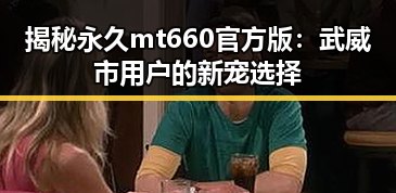 揭秘永久mt660官方版：武威市用户的新宠选择