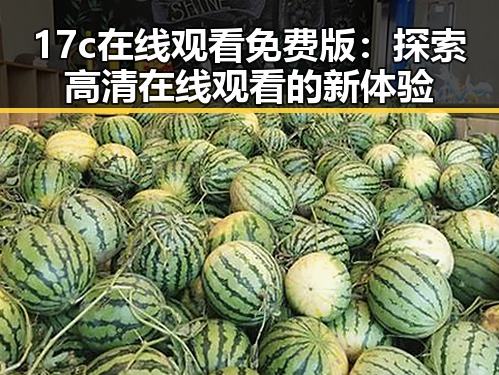 17c在线观看免费版：探索高清在线观看的新体验