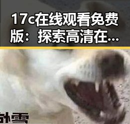 17c在线观看免费版：探索高清在线观看的新体验