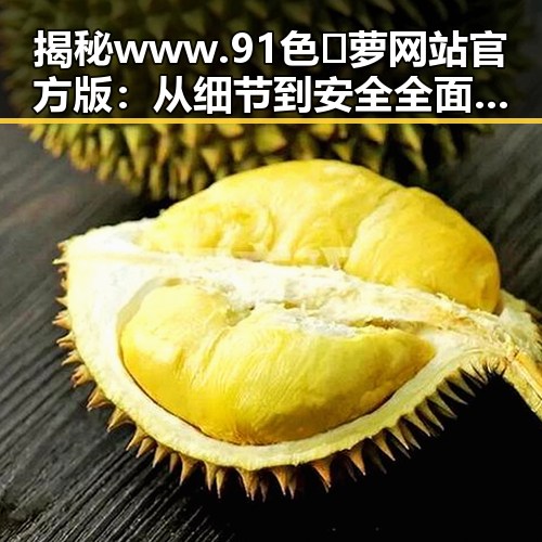 揭秘www.91色😍萝网站官方版：从细节到安全全面解析