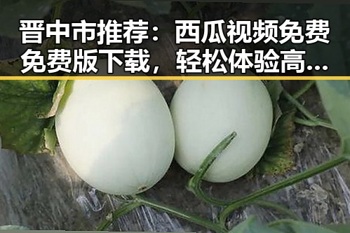 晋中市推荐:西瓜视频免费免费版下载,轻松体验高清视频