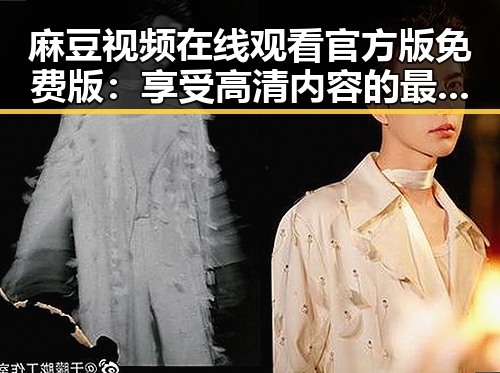 麻豆视频在线观看官方版免费版：享受高清内容的最佳选择