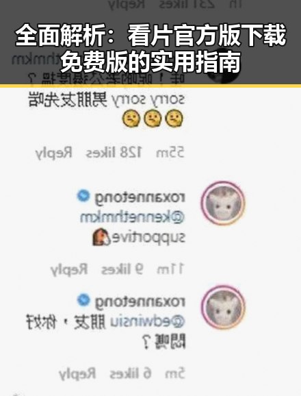 全面解析：看片官方版下载免费版的实用指南