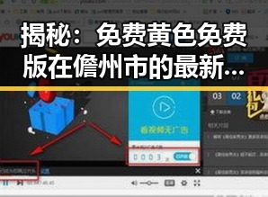 揭秘：免费黄色免费版在儋州市的最新动态