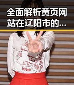 全面解析黄页网站在辽阳市的发展与应用