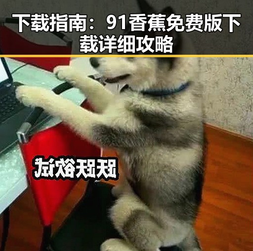 下载指南:91香蕉免费版下载详细攻略