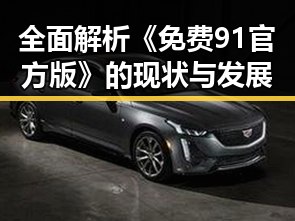 全面解析《免费91官方版》的现状与发展