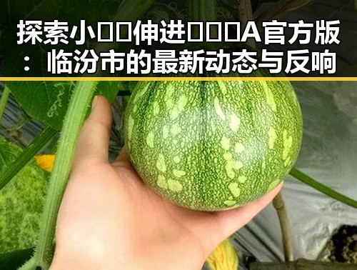 探索小🐔🐔伸进🈲🔞🔞A官方版：临汾市的最新动态与反响