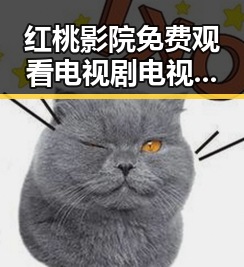 红桃影院免费观看电视剧电视剧高清官方免费版:畅享高清资源的最佳选择