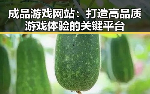 成品游戏网站：打造高品质游戏体验的关键平台