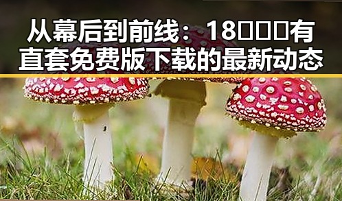 从幕后到前线：18❌❌❌有直套免费版下载的最新动态
