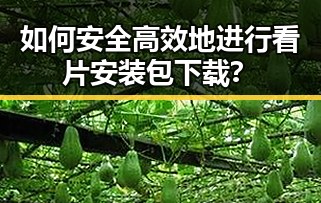 如何安全高效地进行看片安装包下载？
