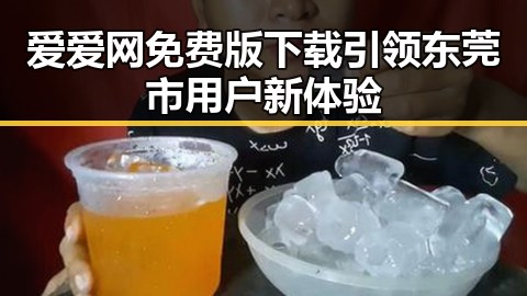 爱爱网免费版下载引领东莞市用户新体验