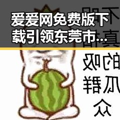 爱爱网免费版下载引领东莞市用户新体验