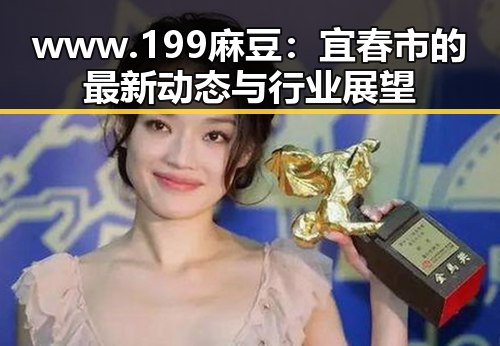 www.199麻豆:宜春市的最新动态与行业展望