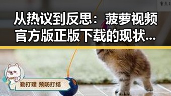 从热议到反思：菠萝视频官方版正版下载的现状与发展