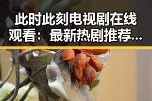此时此刻电视剧在线观看：最新热剧推荐与观影指南