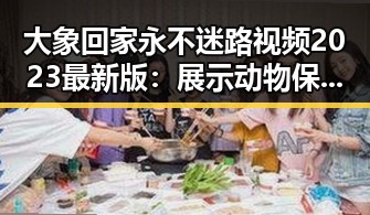 大象回家永不迷路视频2023最新版：展示动物保护的温情瞬间
