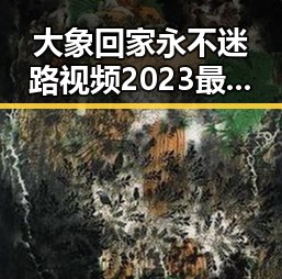 大象回家永不迷路视频2023最新版：展示动物保护的温情瞬间