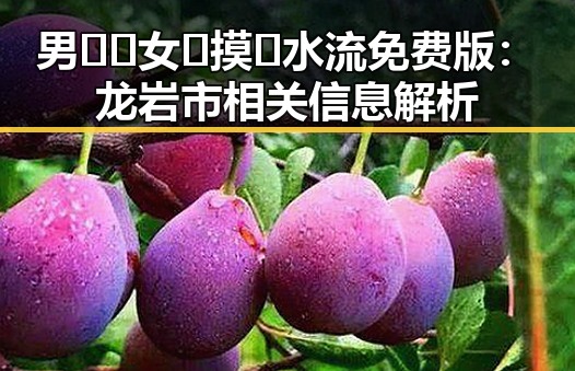 男🍌❌女🍑摸🐻水流免费版：龙岩市相关信息解析