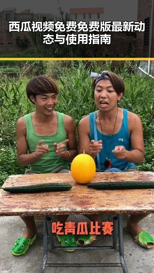 西瓜视频免费免费版最新动态与使用指南