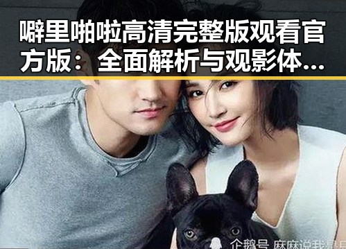 噼里啪啦高清完整版观看官方版：全面解析与观影体验指南