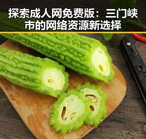 探索成人网免费版:三门峡市的网络资源新选择