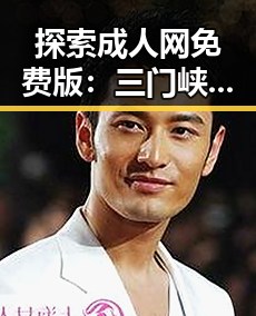 探索成人网免费版:三门峡市的网络资源新选择