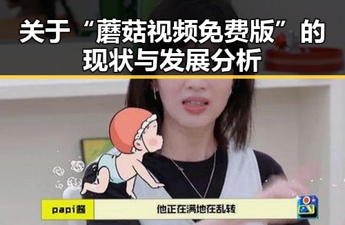 关于“蘑菇视频免费版”的现状与发展分析