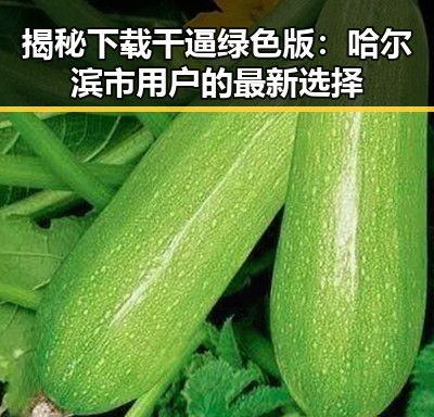 揭秘下载干逼绿色版:哈尔滨市用户的最新选择