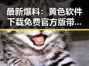 最新爆料：黄色软件下载免费官方版带你轻松体验