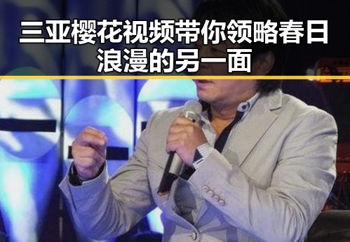 三亚樱花视频带你领略春日浪漫的另一面