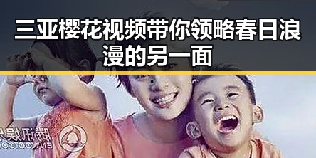 三亚樱花视频带你领略春日浪漫的另一面