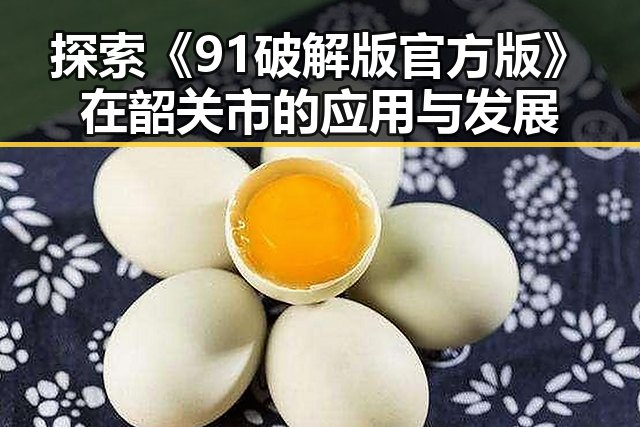 探索《91破解版官方版》在韶关市的应用与发展