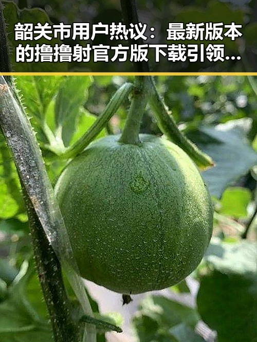 韶关市用户热议：最新版本的撸撸射官方版下载引领潮流