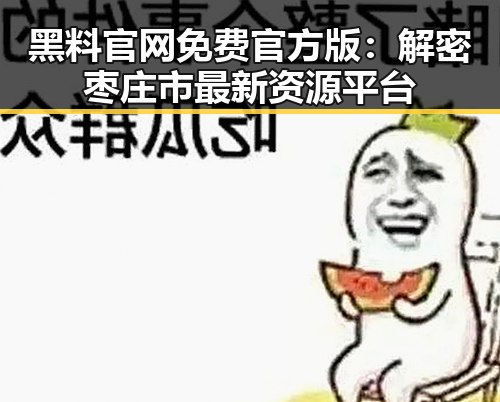 黑料 官网免费官方版：解密枣庄市最新资源平台