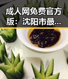 成人网免费官方版：沈阳市最受关注的免费成人资源平台