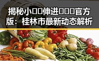 揭秘小🐔🐔伸进🈲🔞🔞官方版:桂林市最新动态解析