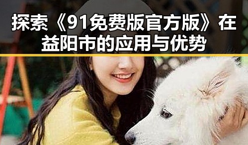 探索《91免费版官方版》在益阳市的应用与优势