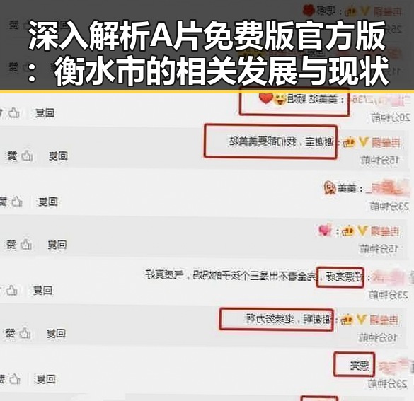 深入解析A片免费版官方版：衡水市的相关发展与现状